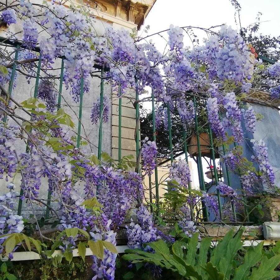 Villa Manasse Aci Castello Zewnętrze zdjęcie